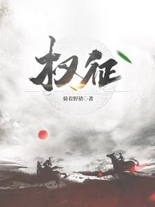 权征权征