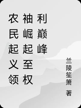 从农民起义到权倾天下从农民起义到权倾天下